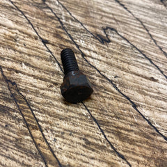 Pioneer P50 Chainsaw Flywheel Bolt/Screw Part # 430877 NEW (P116)