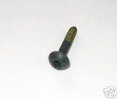 Homelite ST155 HBC30 + Pump/Trimmer Screw 825491 NEW (bin 88)
