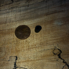 husqvarna 154, 254, 238 chainsaw oil pump seal 501 62 43-01 new oem (h-002)