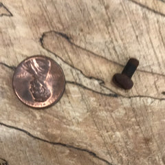 McCulloch PM650, PM605, 3.7, PM610, PM650, PM655 Muffler Deflector Screw NEW (Bin 18) 120038