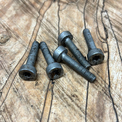 Stihl MS461 Chainsaw case bolt set